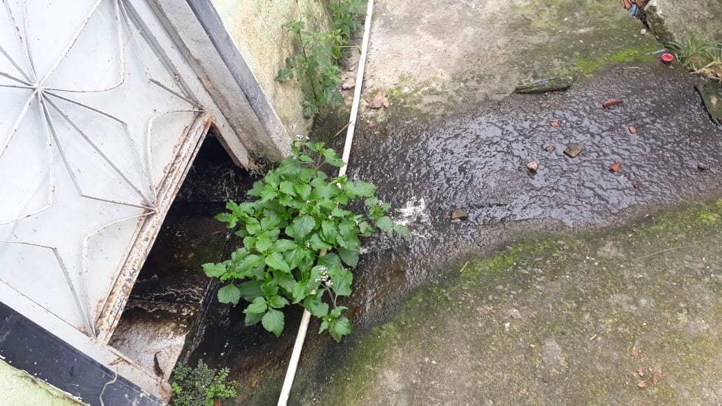 Vazamento de esgoto invade acesso a casas na Fazendinha, no Alemão